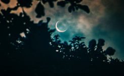 The Coat Hanger Moon