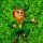 The Funny Leprechaun The Funny Leprechaun