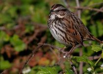 The Joy of Rupert’s Visits