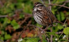 The Joy of Rupert’s Visits