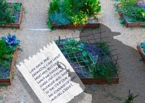 18. Rock Tuff, P.I.: The Kidnapping