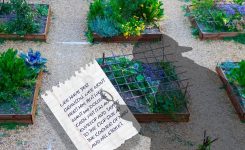 The Kidnapping The Kidnapping