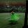 The Leprechaun’s Harp The Leprechaun’s Harp