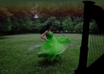 The Leprechaun’s Harp