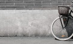 The Lure of a Bicycle The Lure of a Bicycle