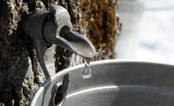 The Mape Speaks The Mape Speaks