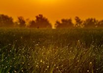 The Marvel Of The Freedom