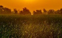 The Marvel Of The Freedom The Marvel Of The Freedom