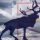 The Men of the Newfoundland Regiment The Men of the Newfoundland Regiment