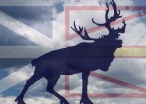 The Men of the Newfoundland Regiment