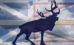 The Men of the Newfoundland Regiment The Men of the Newfoundland Regiment