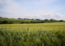 The Out of True Wheel and the Kindness of the French