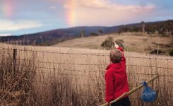 The Runaway The Runaway