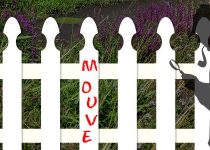 5. Rock Tuff, P.I.: The Serial Vandal