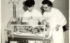 The Student Nurse and the Learning Environment