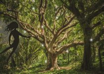 The Tale Of An Elderly Fairy