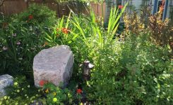 The Tangled Garden The Tangled Garden