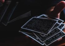 The Totally Amazing Theodore