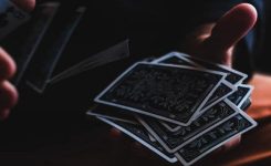 The Totally Amazing Theodore The Totally Amazing Theodore