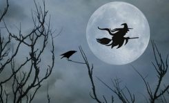 The Witches Are Out The Witches Are Out