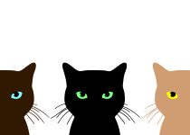 The dreameries with Egyptian cats