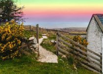 To Find A Leprechaun