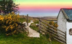 To Find A Leprechaun