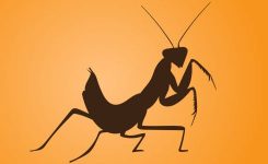 Two Years to Settle Two Years to Settle