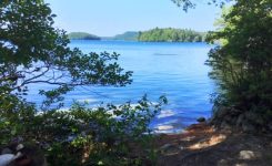 The Road Trip To Maine -1