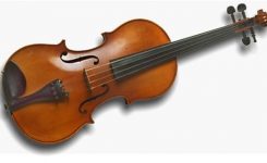 Violin