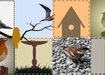 The Birdbath Quilt Raffle (a sequel)