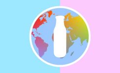 WCultural2 WCultural2