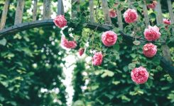 Warm Welcome Warm Welcome