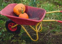 Wheelbarrow