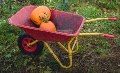Wheelbarrow Wheelbarrow