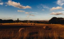 Whoa Whoa Whoa Whoa Whoa Whoa