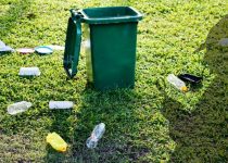 29 Rock Tuff, P.I.: Wild Justice