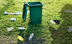 Wild Justice Wild Justice