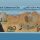 Will I Ever Return to Mount Sinai? Will I Ever Return to Mount Sinai?