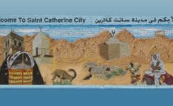 Will I Ever Return to Mount Sinai?