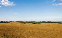 Winds Of Woe Winds Of Woe