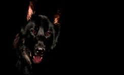 Worry! It’s Like A Bad Dog! Worry! It’s Like A Bad Dog!