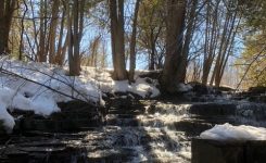 Waterfall in a snow-covered forest