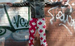 cropped-David-Ross.jpg cropped-David-Ross.jpg