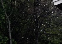 Glimmers Of Cottage Life