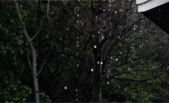 glimmers of cottage life glimmers of cottage life