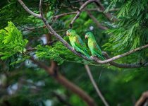 The Boy in Nicaragua Who Haunts Me