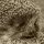The elegy of hedgehog The elegy of hedgehog