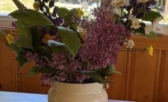 little white milk jug little white milk jug